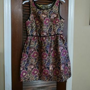 Beautiful brocade, knee length, Fall dress.